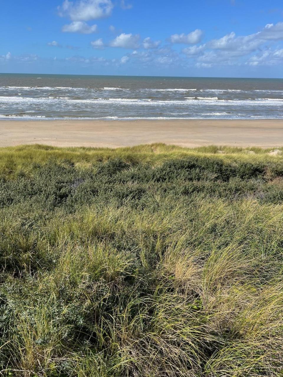 Studio34 Zandvoort Free Parking Dış mekan fotoğraf